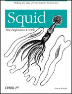 《Squid 中文权威指南》封面